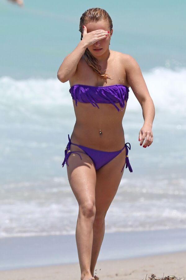 Hayden Panettiere in Bikini at a Beach in Miami 10 of 15 pics