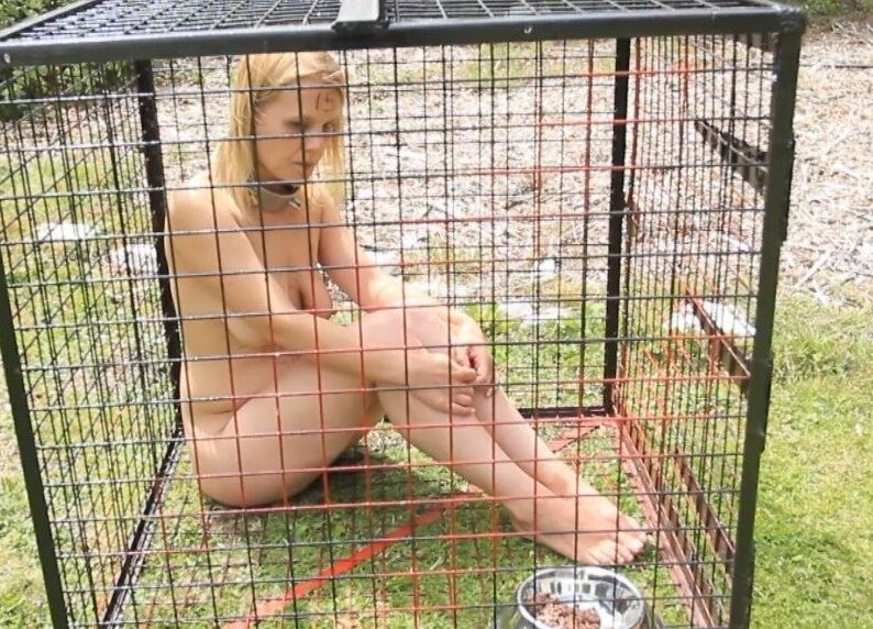 Sweet Pets in Cages 14 of 35 pics