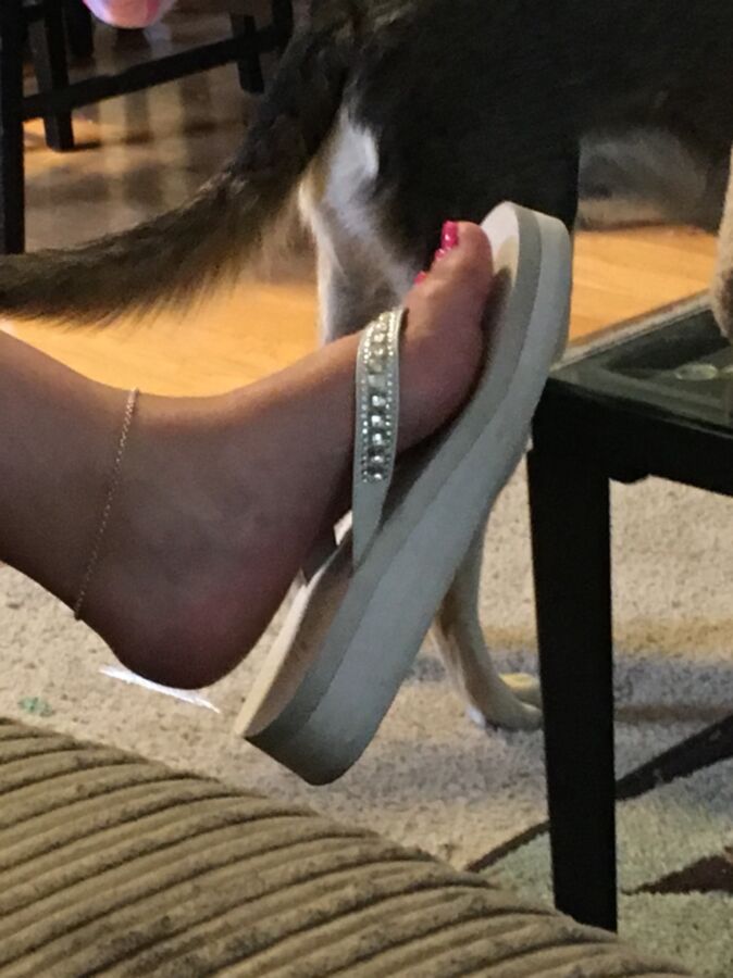 Hotwife feet 6 of 41 pics