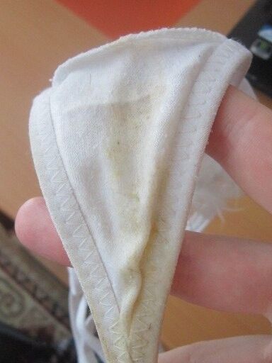 Crazy smelly panties of Russian girls 15 of 100 pics