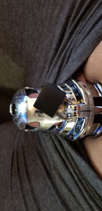 Freshly Shaven Locked Small Penis In Chastity 4 of 5 pics