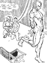 Malex art: gay bondage hanging bdsm sadism torture  10 of 24 pics