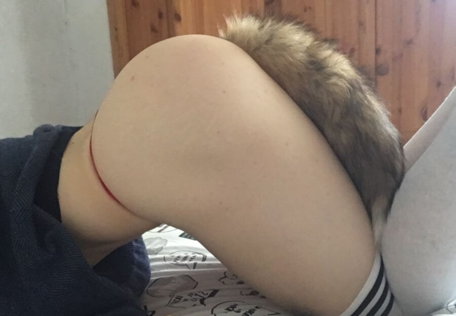 Femboy Thigh Highs & Tail Plug 13 of 18 pics