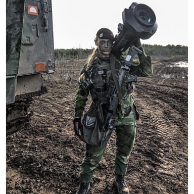 Swedish Military 10 of 25 pics