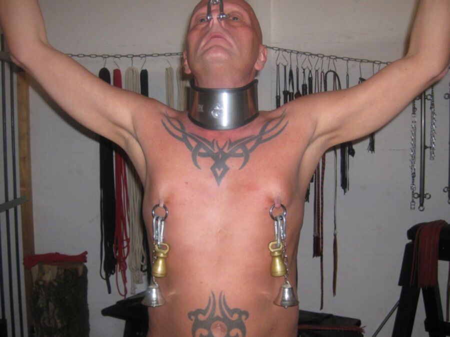male slave pig in the dungeon of his mistress 14 of 19 pics