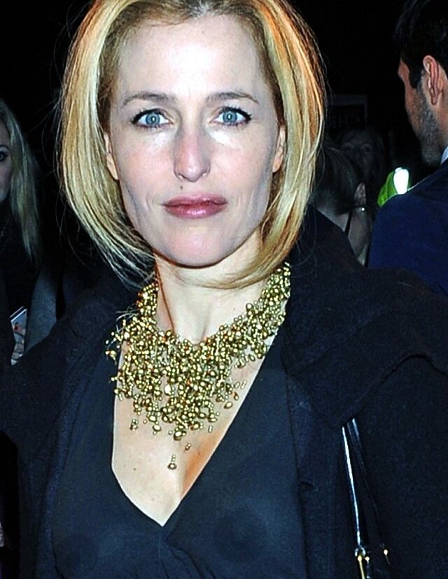 GILLIAN ANDERSON STILL GETS ME HARD 24 of 38 pics