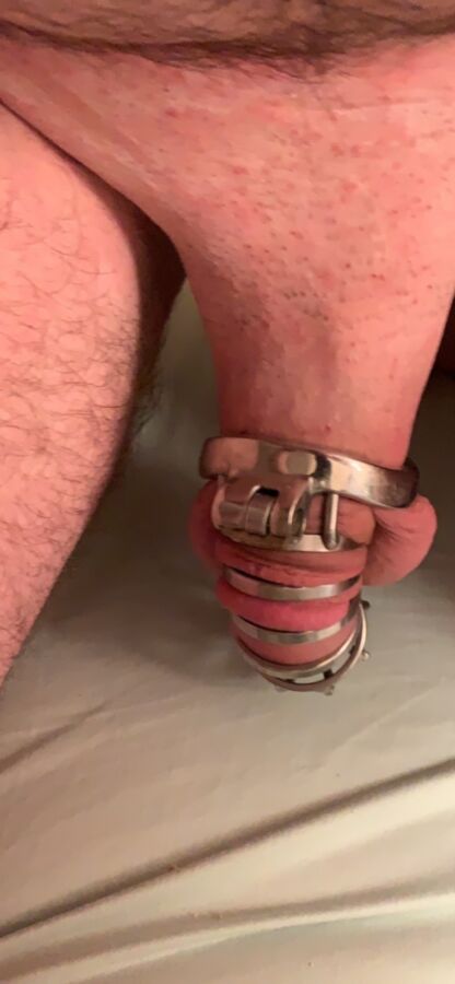 Me shaven and then chastity cage 4 of 5 pics