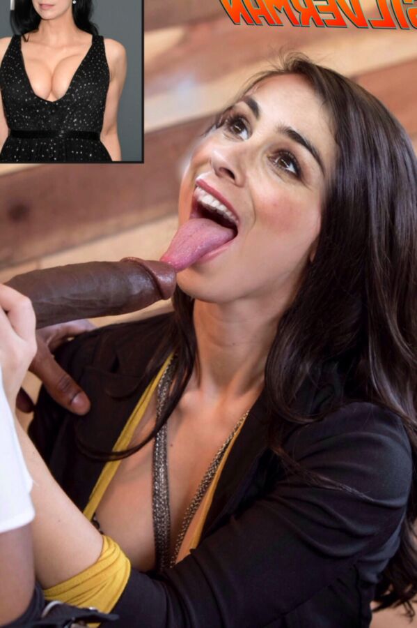 Sarah Silverman Fakes