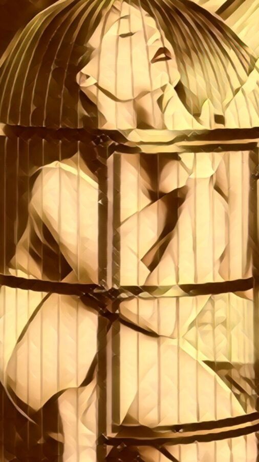 Caged Kajira 15 of 22 pics