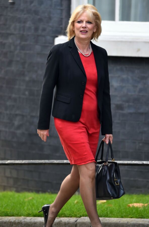 UK Pantyhosed Politician - Anna Soubry 4 of 7 pics