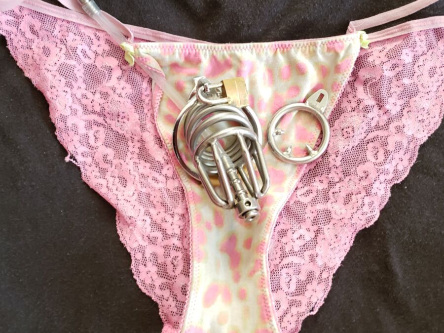 New Stainless Steel Small Chastity Cage & panties for the month 12 of 20 pics