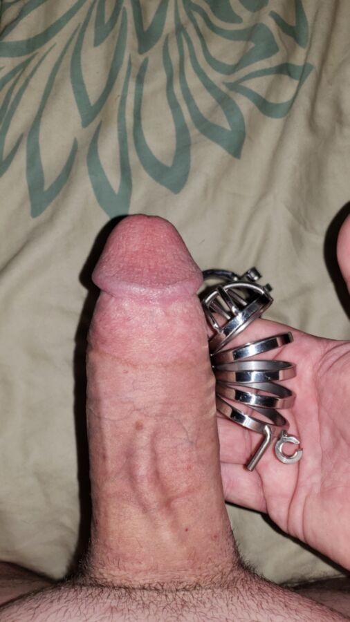 New Stainless Steel Small Chastity Cage & panties for the month 7 of 20 pics