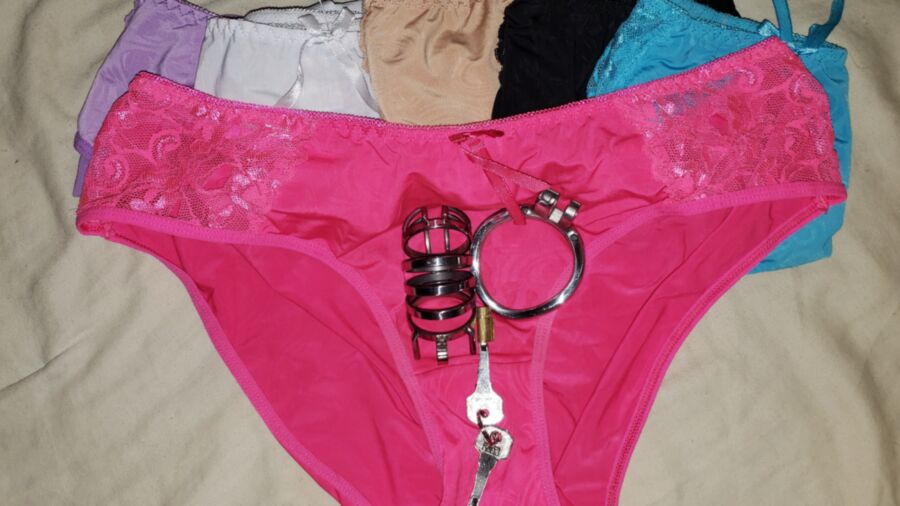 New Stainless Steel Small Chastity Cage & panties for the month 8 of 20 pics