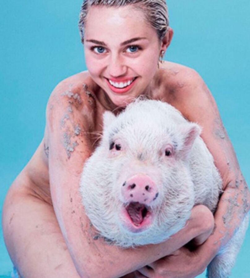 Miley Cyrus Dogs and Pigs 23 of 25 pics