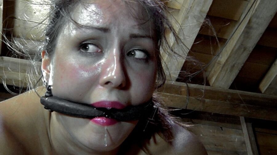 BDSM - Submissive miscellany 1 of 35 pics