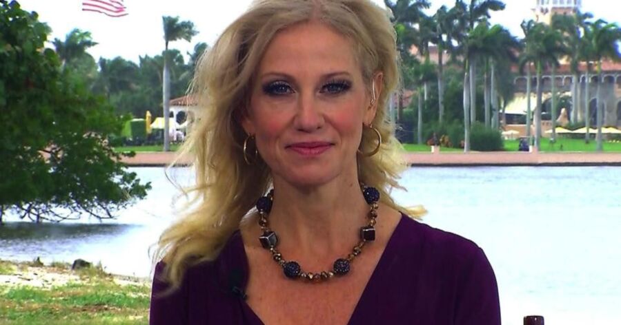 Kellyanne Conway - Cum On My Face 15 of 28 pics