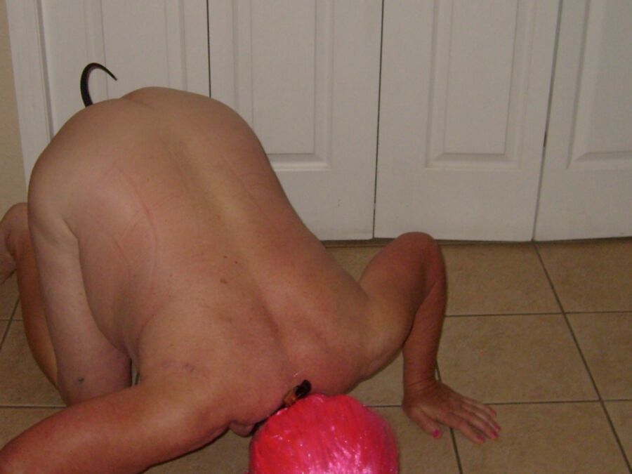 Mistress Made Me Act as Her Puppy Complete With Inserted Tail 6 of 18 pics