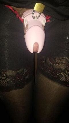 SissySonya in chastity  3 of 3 pics