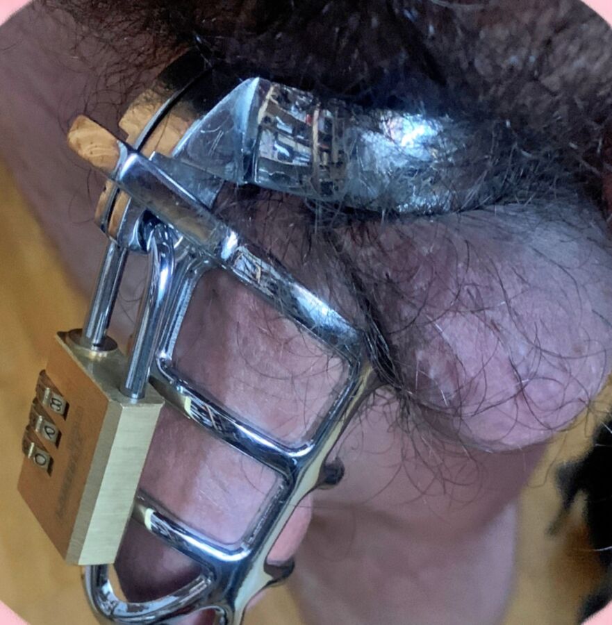 Cock in Cage 7 of 15 pics