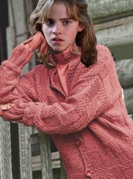 hermione fakes 1 of 100 pics