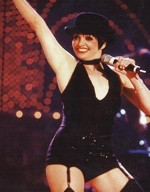 Liza Minnelli 3 of 20 pics