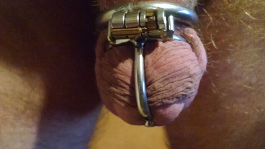 chastity me 6 of 14 pics