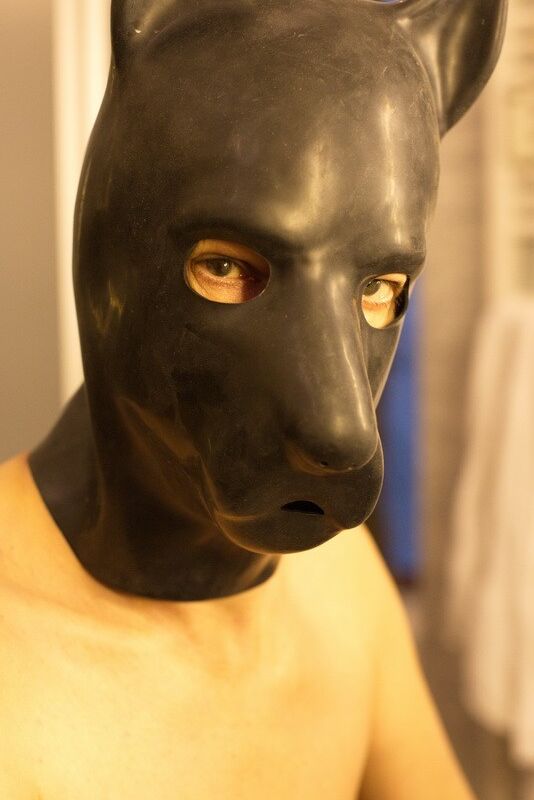 Bitch Daddy - Me in dogmask 1 of 65 pics