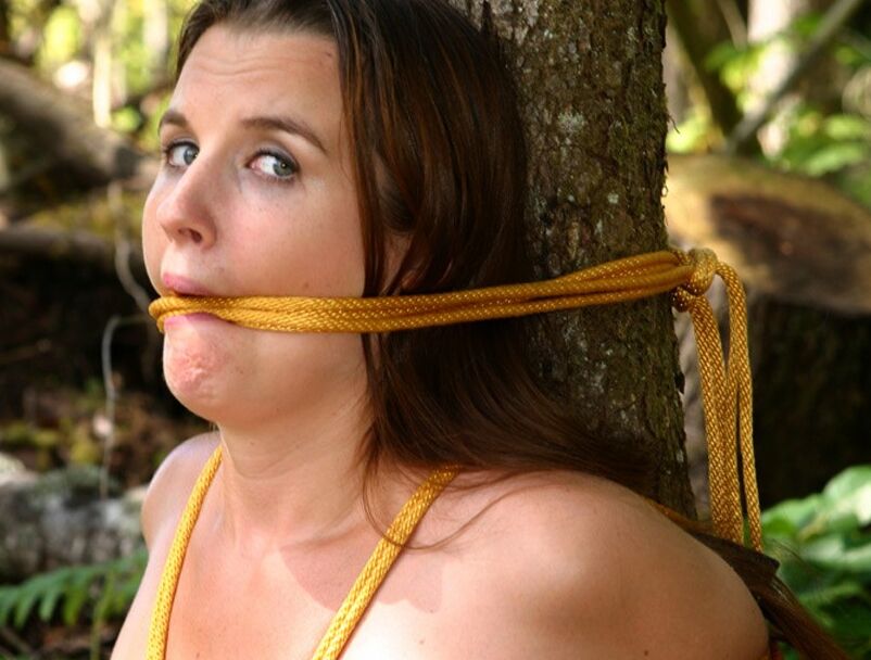  Misty Tied To Tree In Yellow Rope 10 of 34 pics