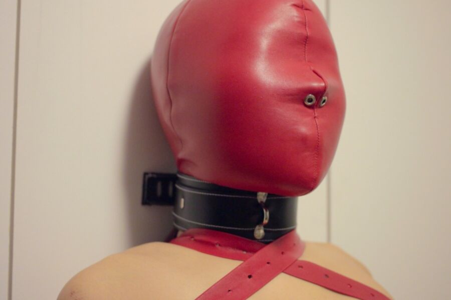 Red Leather Hood And Arm Binders 6 of 10 pics