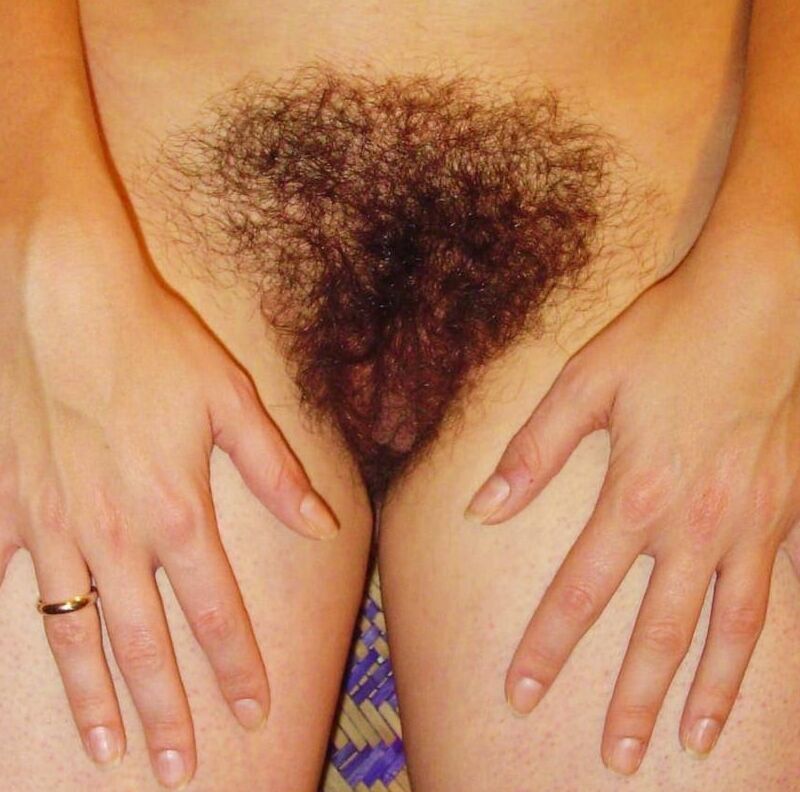 Hairy Porn Pic Jan Sucks A Dick And Gets