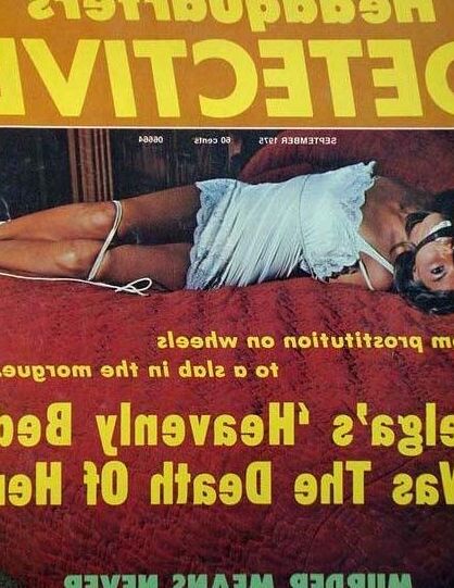 Detective Bondage