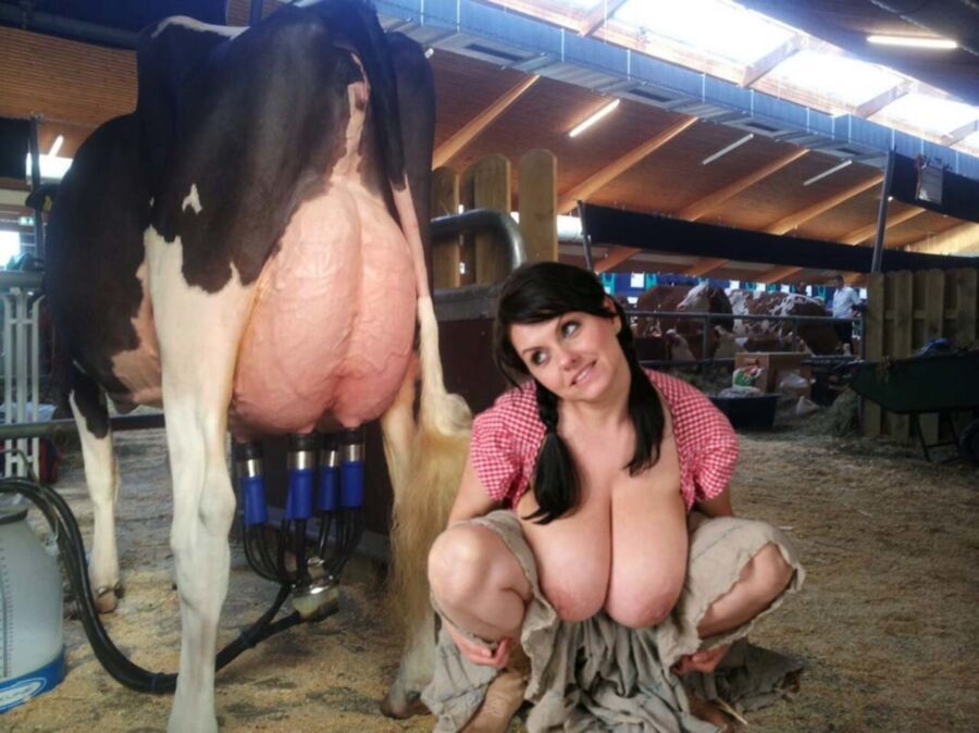 hucow human cow udders tits kuh euter kuheuter kuhtitten udder milking melk...