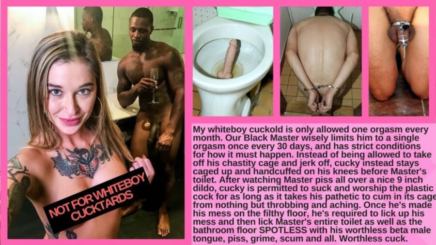 Free porn pics of Sissy Losers - Cuckboy Toilet Treat 1 of 3 pics 