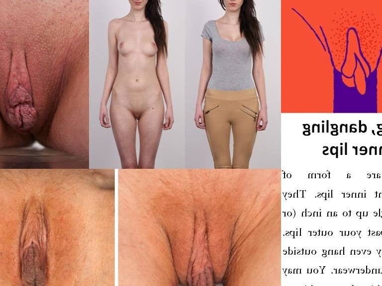 Types of vagina vulva pussy - different form.