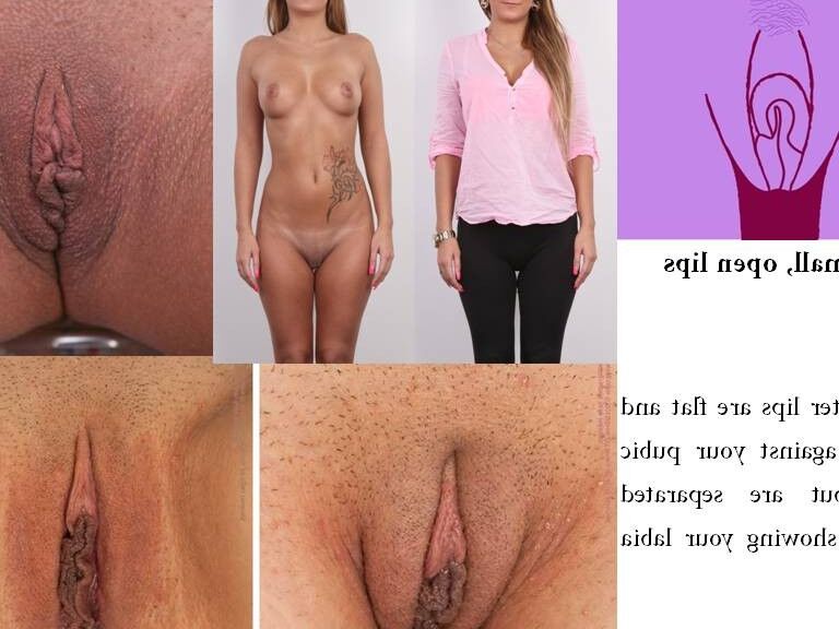 Types of vagina vulva pussy - different form 1 of 9 pics.