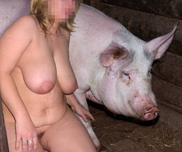 Pig having sex with women ✔ Zoo Fucker Category - Artworks S