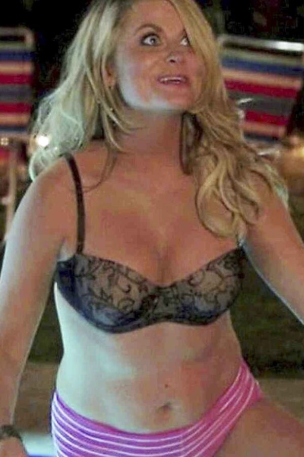 Amy poehler tits - 🧡 Amy Poehler - Celebrity Fakes Forum FamousBoard.com.